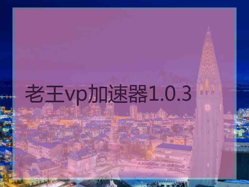 老王vp加速器1.0.3